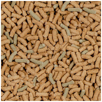 Sera Raffy P Nature víziteknős táp #2