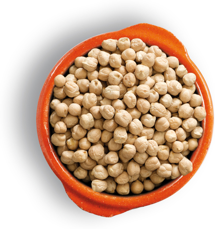 Belcando Mastercraft Fresh Salmon | 80% friss lazacból készült szuperprémium német kutyatáp