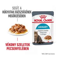 Royal Canin Urinary Care - Szószos nedves táp felnőtt macskák részére az alsó hugyúti problémák megelőzéséért