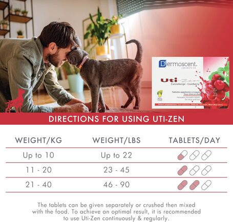 Dermoscent Uti-Zen kutyáknak és macskáknak