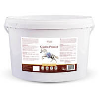 Over Horse Gastro Protect