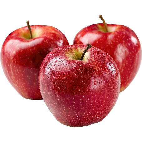 Food Studio zöldség- és bogyósgyümölcs-püré kutyáknak