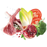 Exclusion Dog Mediterraneo Monoprotein Lamb Adult Large #2