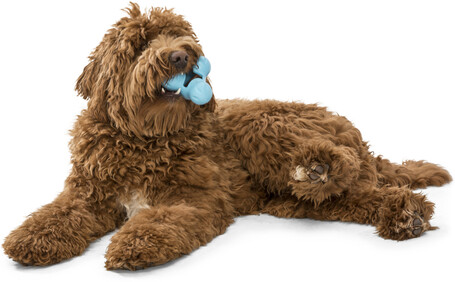 West Paw Tux - Jutalomfalattal tölthető játék