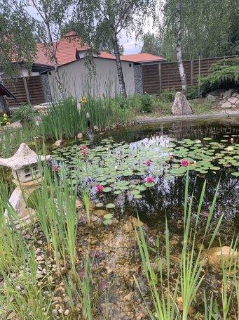 Greenman Pond tóápoló és algagátló