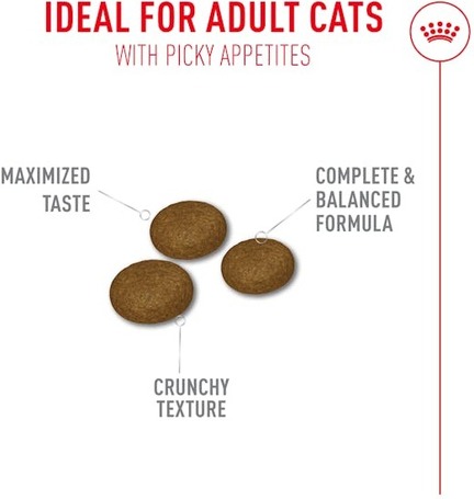 Royal Canin Fussy - válógatós macskák részére