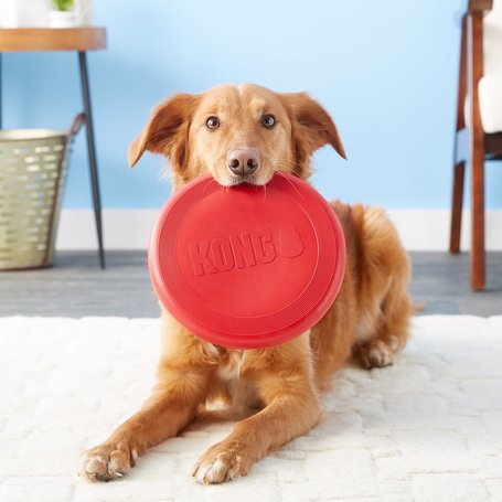 Kong Classic Flyer frizbi
