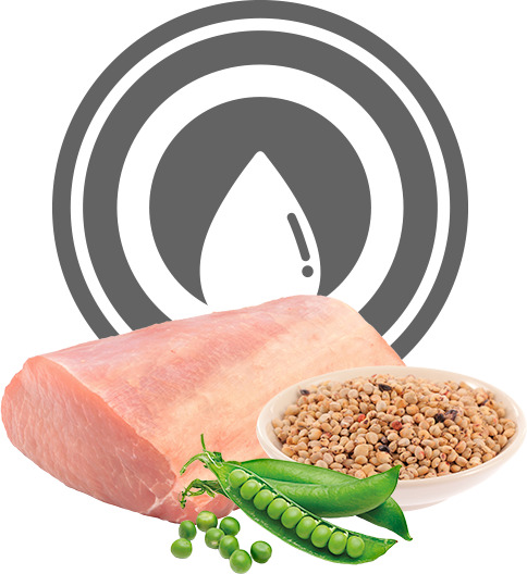 Exclusion Dog Diabetic Pork & Sorghum and Pea Medium/Large - zoom