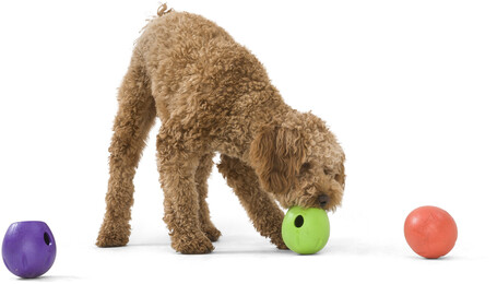 West Paw Rumbl - Jutalomfalattal tölthető labda