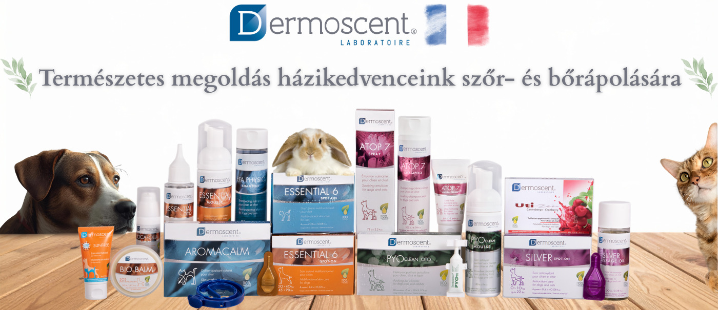 Bemutatkozik a Dermoscent⚕️ – a természet ihlette, az állatorvosi szakértelem megalkotta