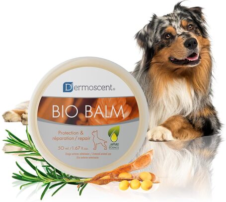 Dermoscent Bio Balm orr- és mancsápoló balzsam kutyáknak