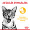 Royal Canin Sensory Taste Jelly - Zselés felnőtt macska nedves táp fokozott íz élménnye