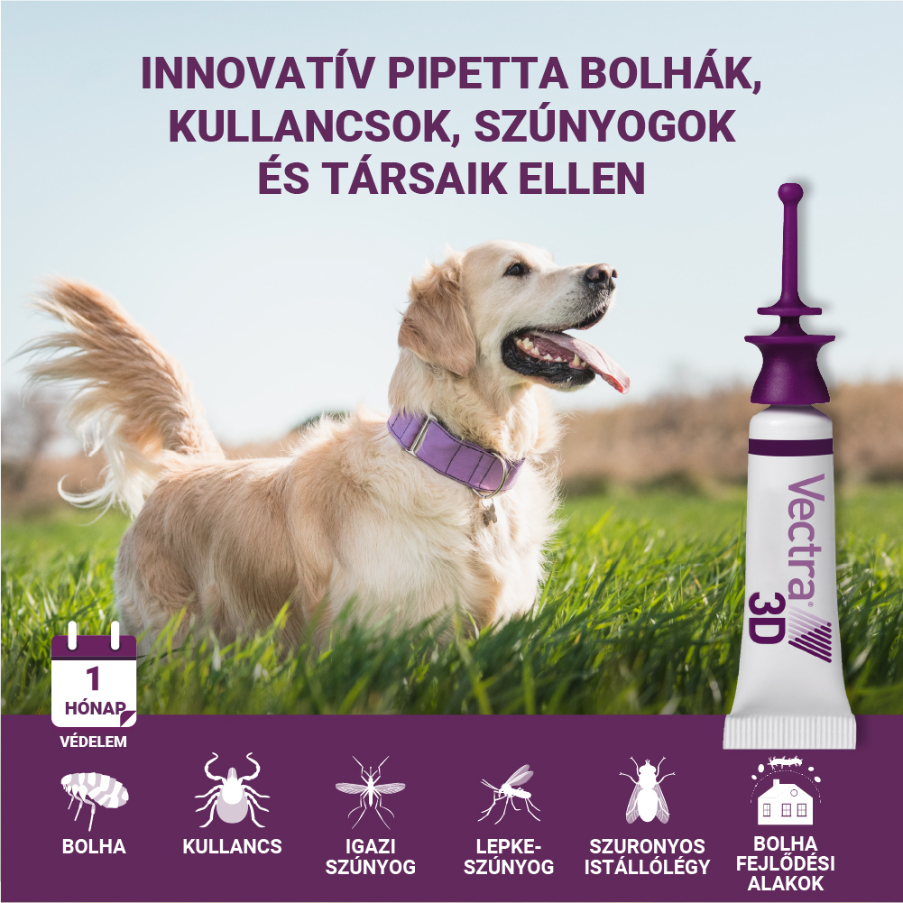 Vectra 3D repellens spot on kutyáknak