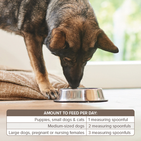 Beaphar Bone Builder - Csonterősítő kutyáknak és macskáknak