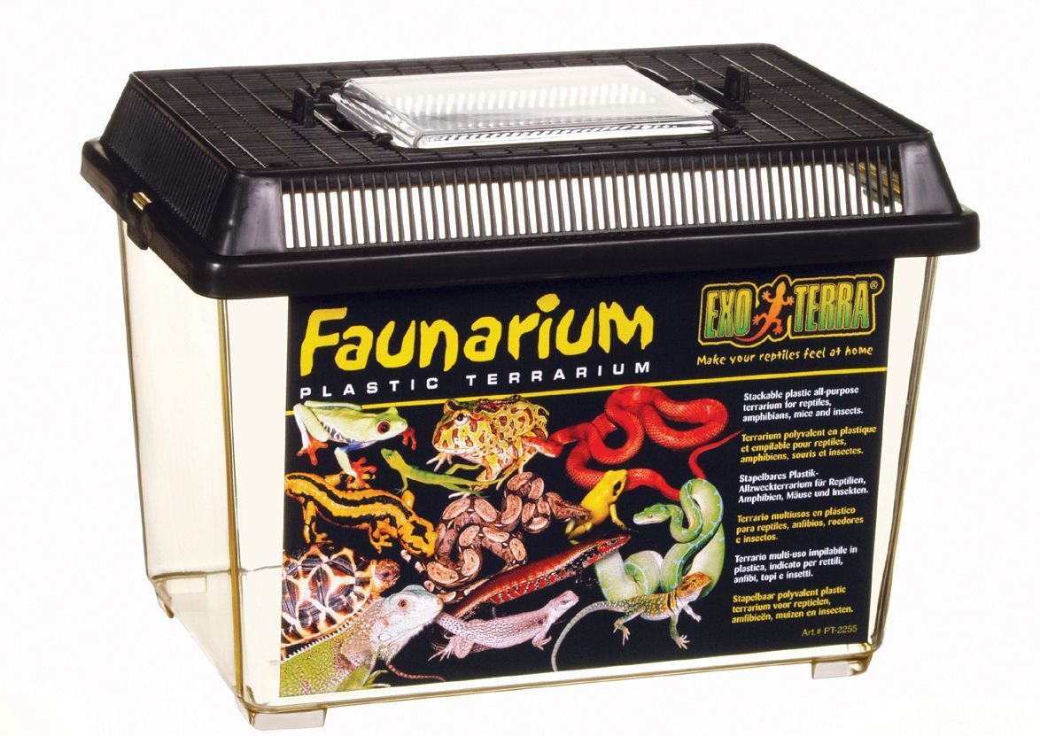 Exo Terra Faunarium - cutie portabilă din plastic - zoom
