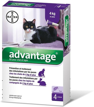 Advantage 80 spot on macskáknak és nyulaknak
