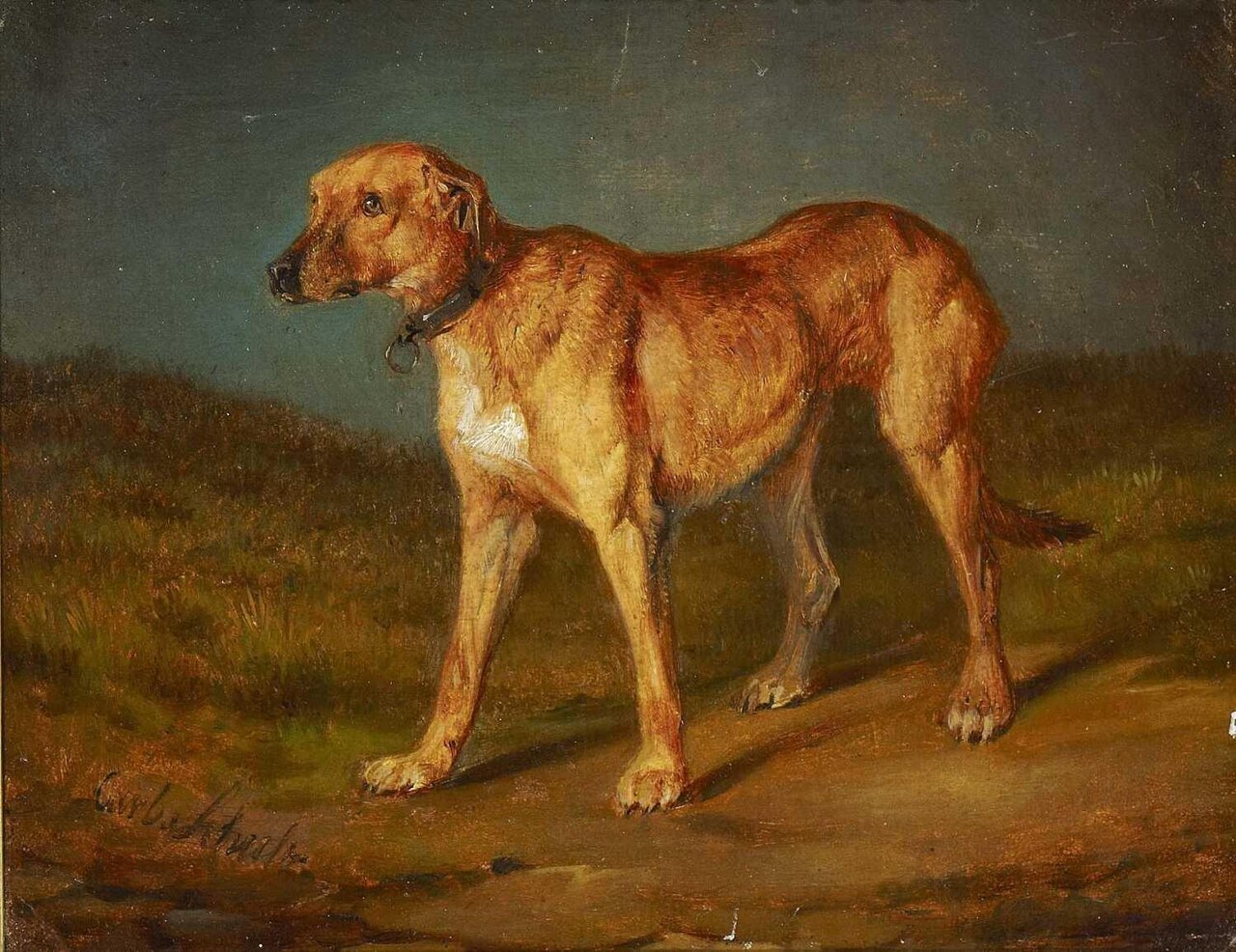 A Rhodesian Ridgeback (Karl Friedrich Schulz c.1834)