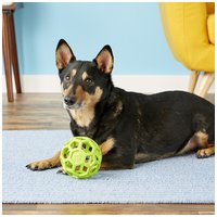 JW Hol-ee Roller labda kutyáknak #12