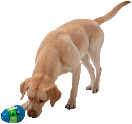 Trixie keljfeljancsi jutalomfalat adagoló tojás kutyáknak