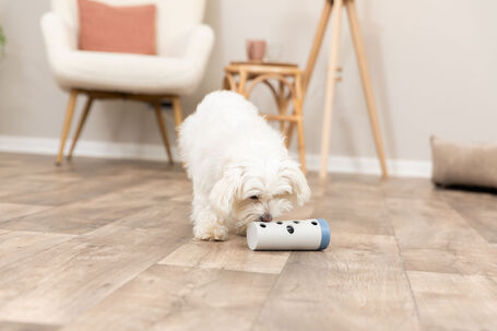 Trixie Snack Roll jutalomfalat adagoló henger kutyáknak