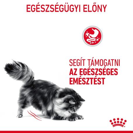 Royal Canin Digestive Care - Szószos nedves táp érzékeny emészétésű felnőtt macskák részére