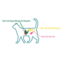 Eminent Diet Cat Struvite #4