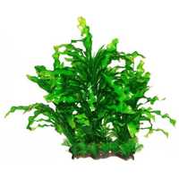 Akváriumi palás műnövény hosszú hullámos levelekkel #8