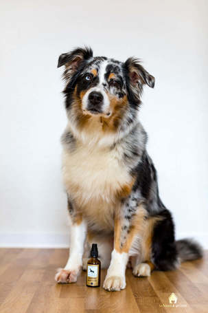 Lila Loves It bio ezüst spray házi kedvenceknek