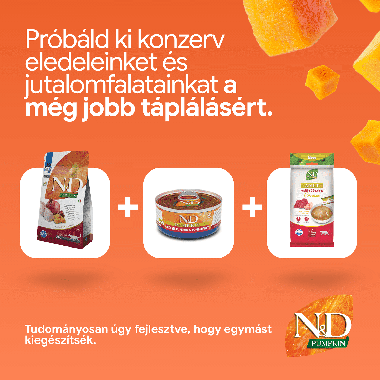 N&D Pumpkin Cat Grain Free fürjjel, sütőtökkel és gránátalmával | Szuperprémium száraztáp macskáknak