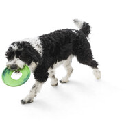 West Paw Seaflex Sailz - Károsanyag-mentes frizbi #8