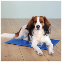 Hűtőmatrac kutyáknak kék színben #2