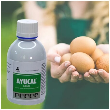 Ayucal kalcium-, foszfor- és tojáshéj-erősítő itatófolyadék
