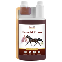 Over Horse Bronchi Equus