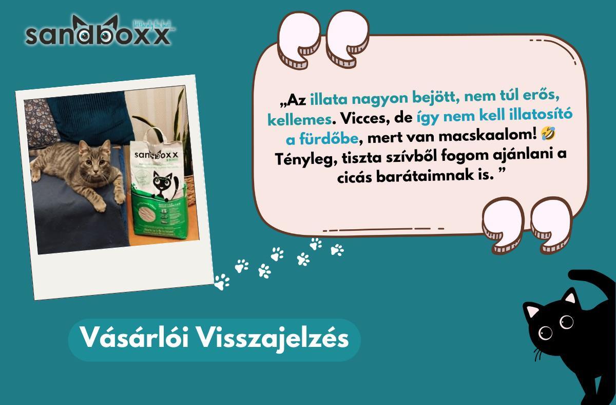 Nisip parfumat Sandboxx, formare de bulgări, pentru litiera - zoom