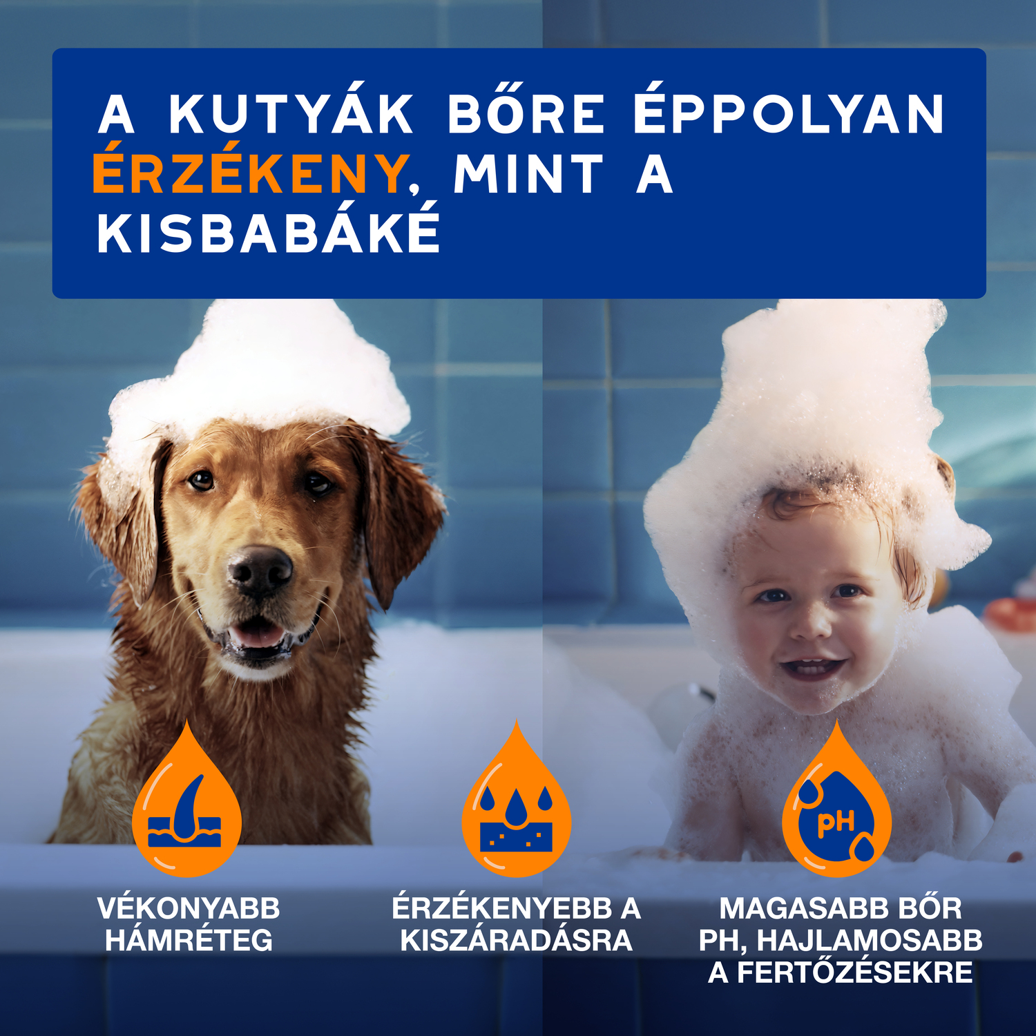 Douxo Spa șampon descurcant pentru câini - zoom