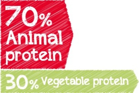 Belcando Adult Multi-Croc szószos száraztáp kutyáknak