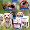 Prevendog kutyáknak