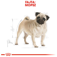 Royal Canin Pug Adult - Mopsz felnőtt kutya száraz táp #2