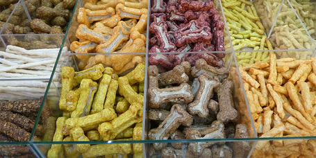 Falatnyi jutalommal a jól-nevelt kutyáért