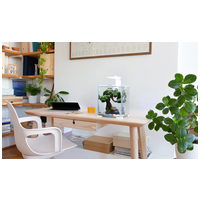 AquaEl Shrimp Set Day & Night #7