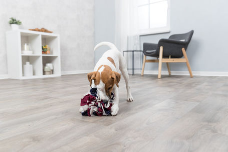 Trixie Sniffing Ball - Stratégiai játék labda kutyáknak