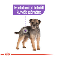 Royal Canin Mini Sterilised - Száraz táp ivartalanított, kistestű felnőtt kutyák részére #2