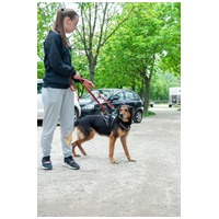 Bözsi, a 10 éves idős hölgy #6