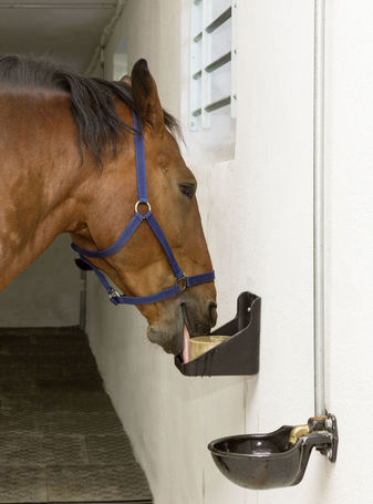 Kerbl Equisal nyalósó