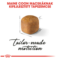 Royal Canin Maine Coon Kitten - Maine Coon kölyök macska száraz táp #3