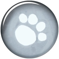 Praktikus vízhatlan esőkabát fekete szegéllyel kutyáknak #3