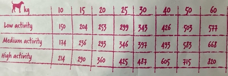 Visán Evoque Dog Adult Medium/Large White Fish with Fruits & Vegetables Grain Free | Táp közepes és nagytestűkutyáknak fehér hallal, zöldséggel és gyümölccsel