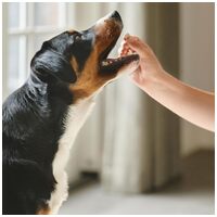 Beaphar Calming Tablets #2