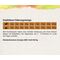 Eminent Mini Adult Insect Grain Free