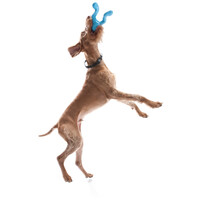 West Paw Tizzi - Multifunkcionális kutyajáték #6